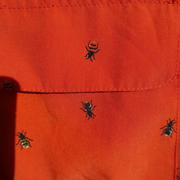 Bee button up - Picture 3 of 5
